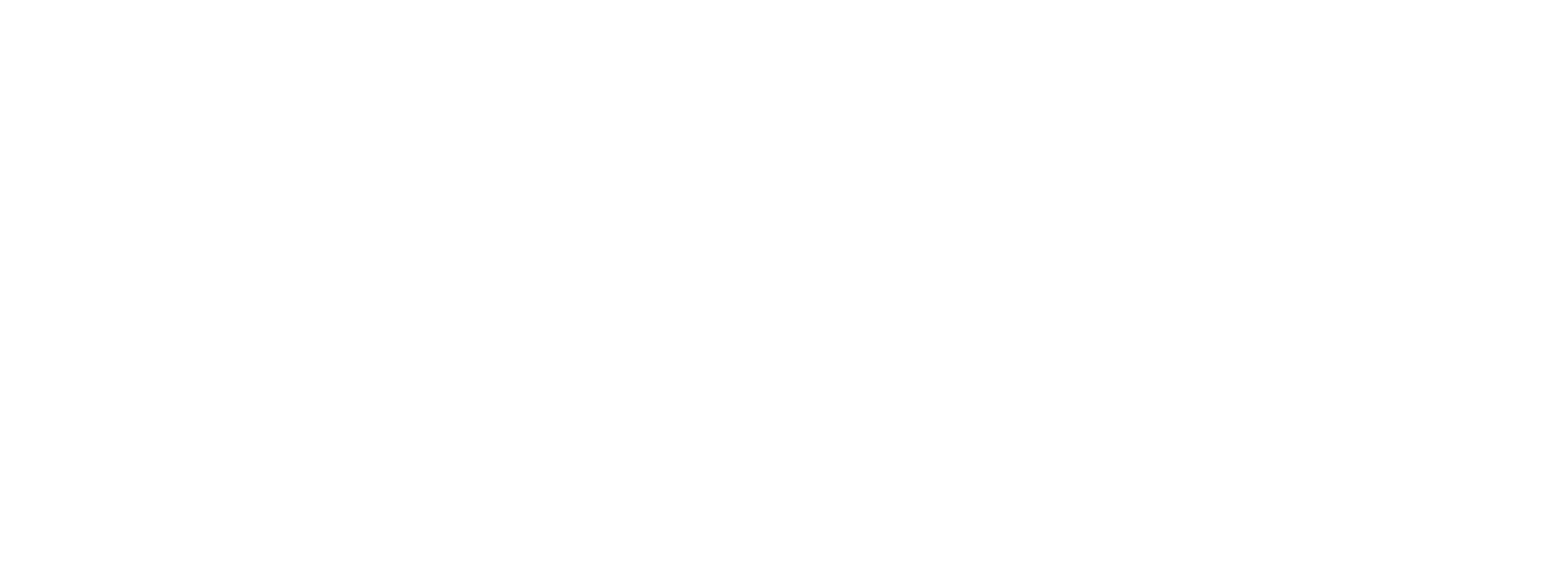 AV Service Srl